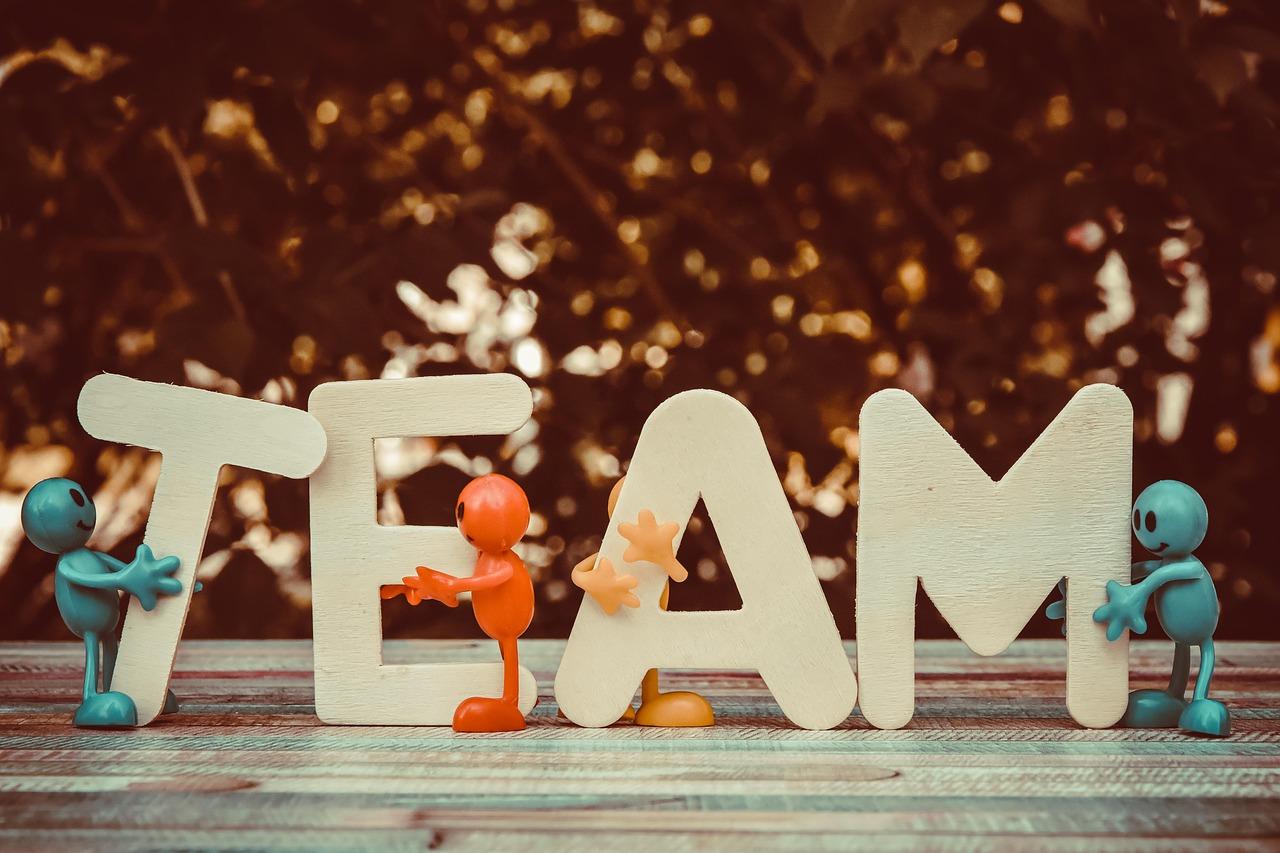 Recommendations for Maximizing Team Cohesion Post Roster Changes