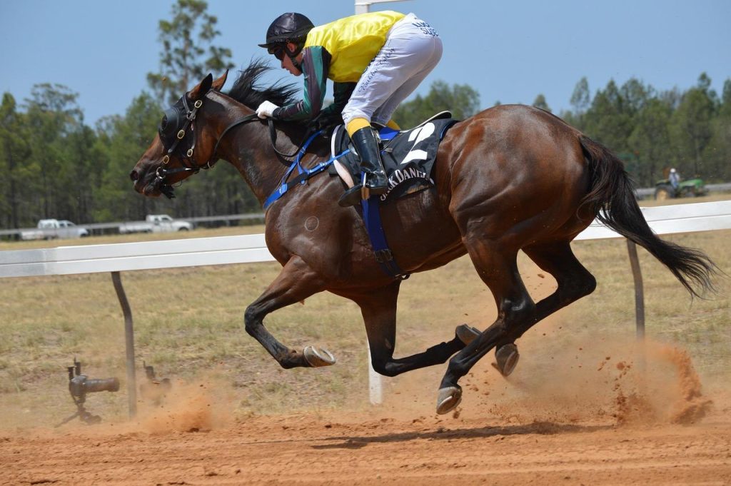 Today on Sky Sports Racing: Newbury, Brighton and Newton Abbot host live action