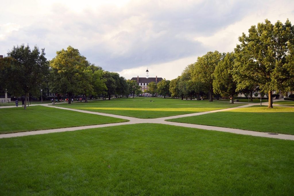 Ohio State study abroad program lends access to international sports industry