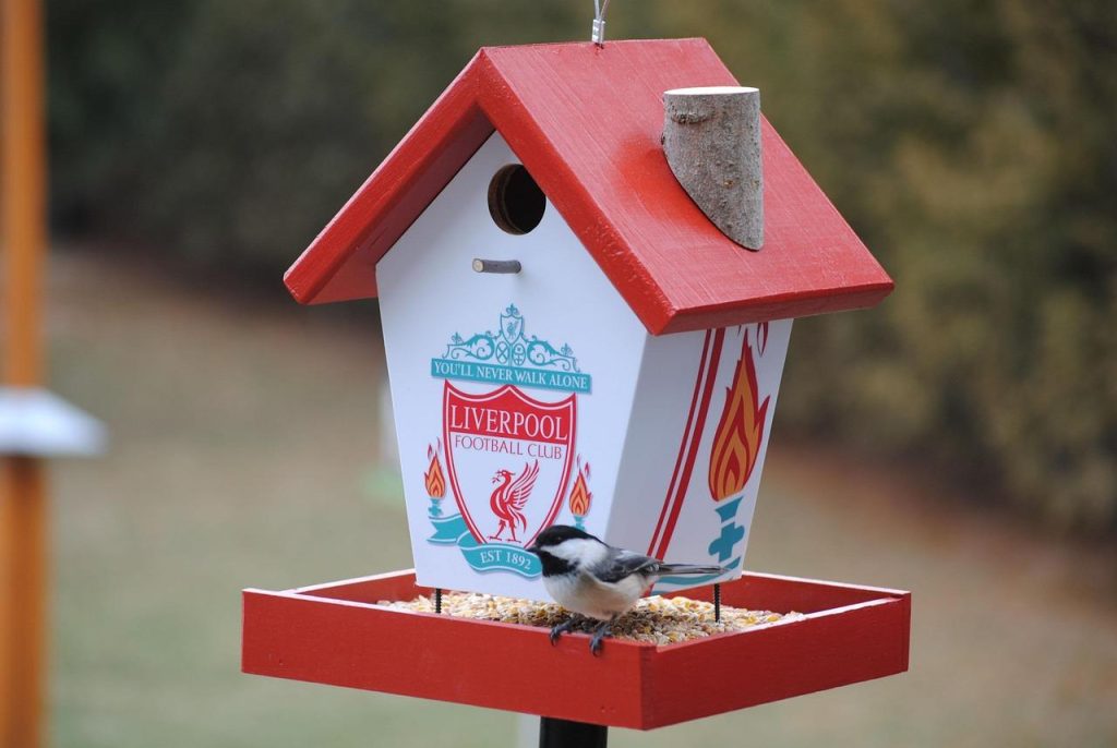 Liverpool fans in disbelief after seeing who the club have appointed as new U21 head coach