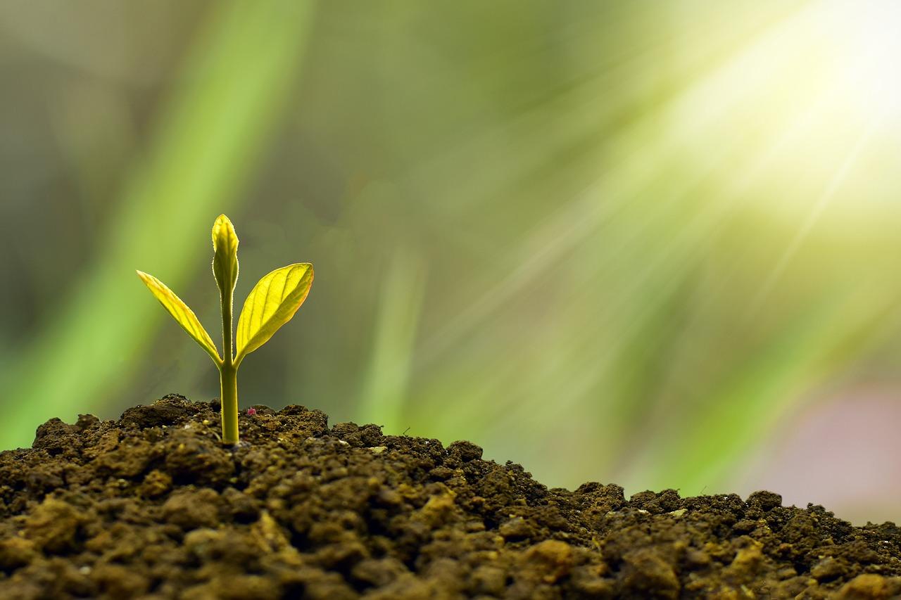 Recommendations for Sustainable Investment to Maximize Future Returns