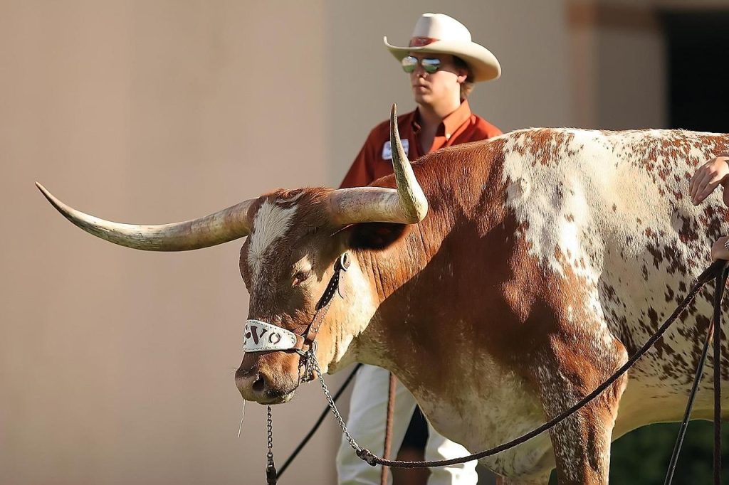 Arch Manning still not perfect for Steve Sarkisian and will have to adjust something at Texas