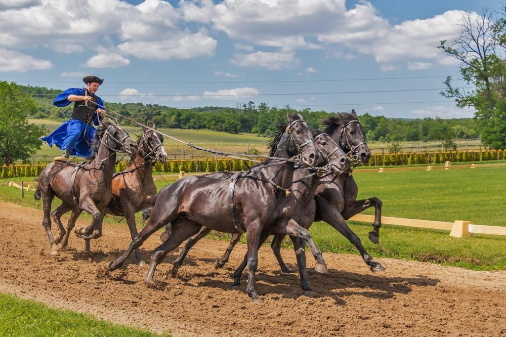 Whirl denies Kalpana in pulsating Pretty Polly