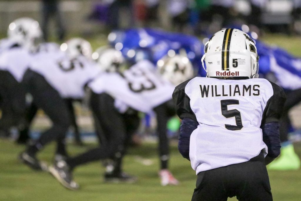 ‘Williams Is A Player Of The Highest Quality’ –Raphinha