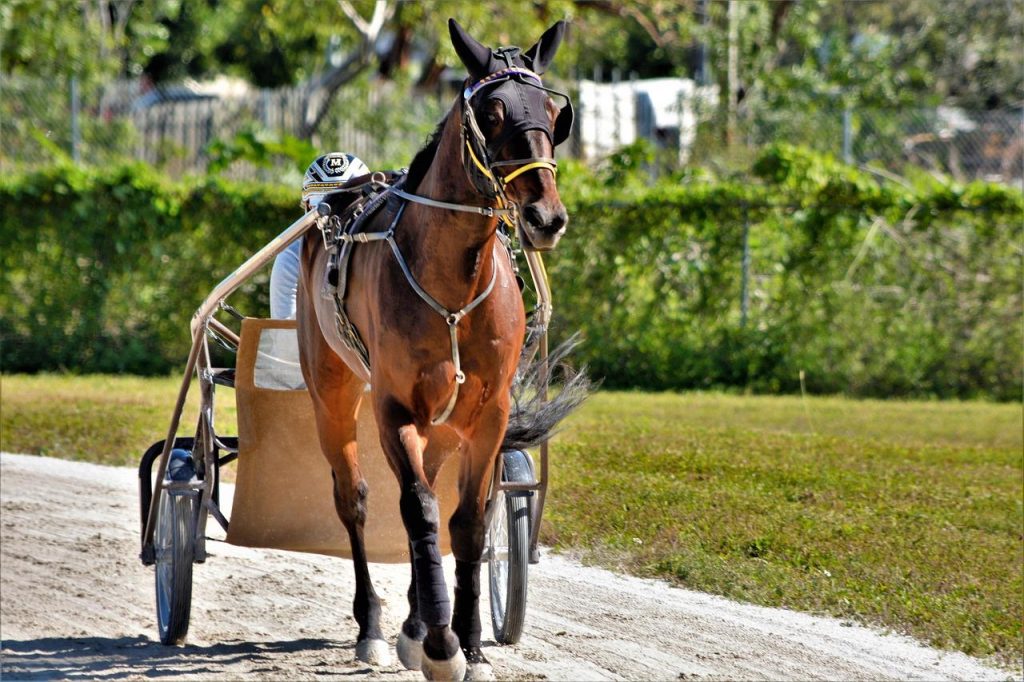Hall of Fame trainer Lukas dies aged 89