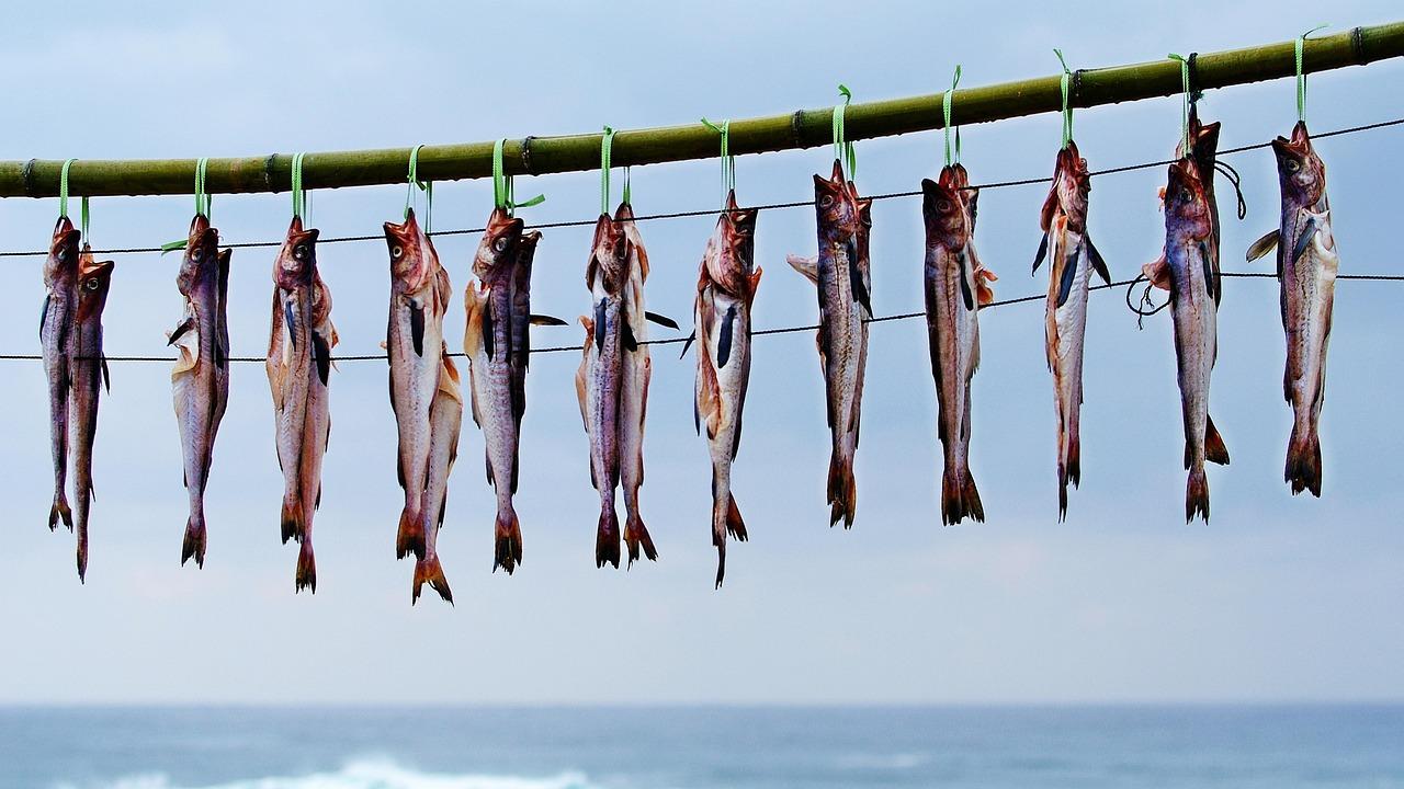 Expert Recommendations to Maximize Pollock's Potential