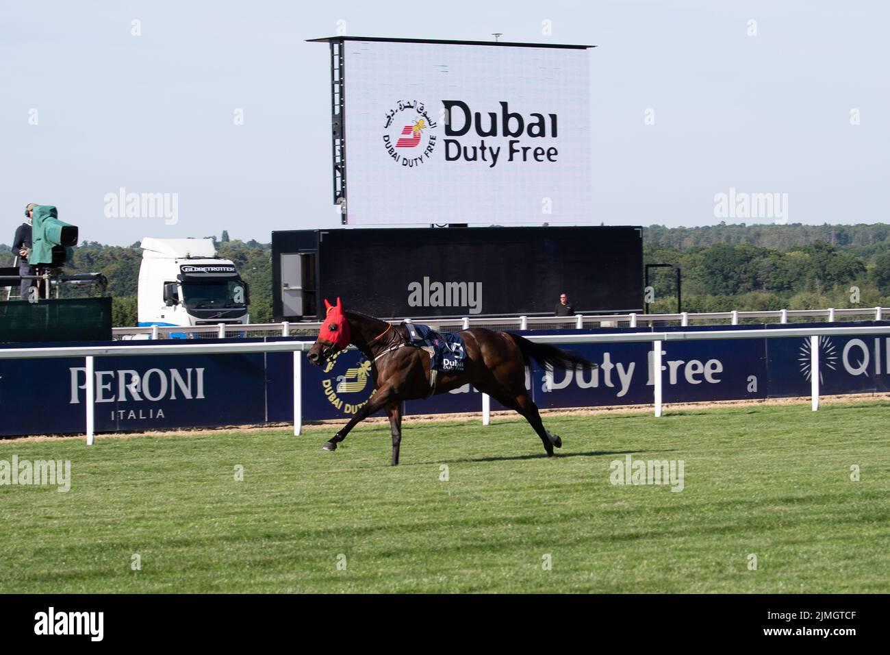 Amazonian Dream's Winning Streak and Key Factors for Success