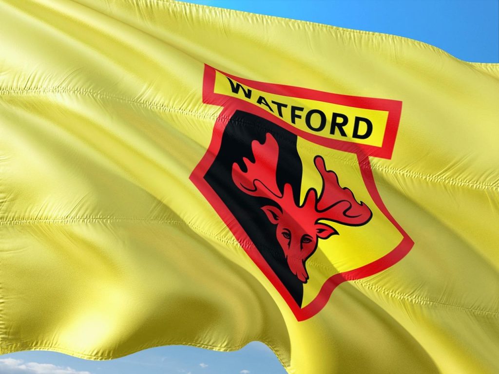 Watford FC should swerve transfer bullet Sunderland dodged last summer