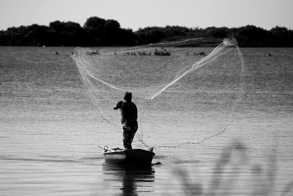 Is this the best ever catch… that never existed?!